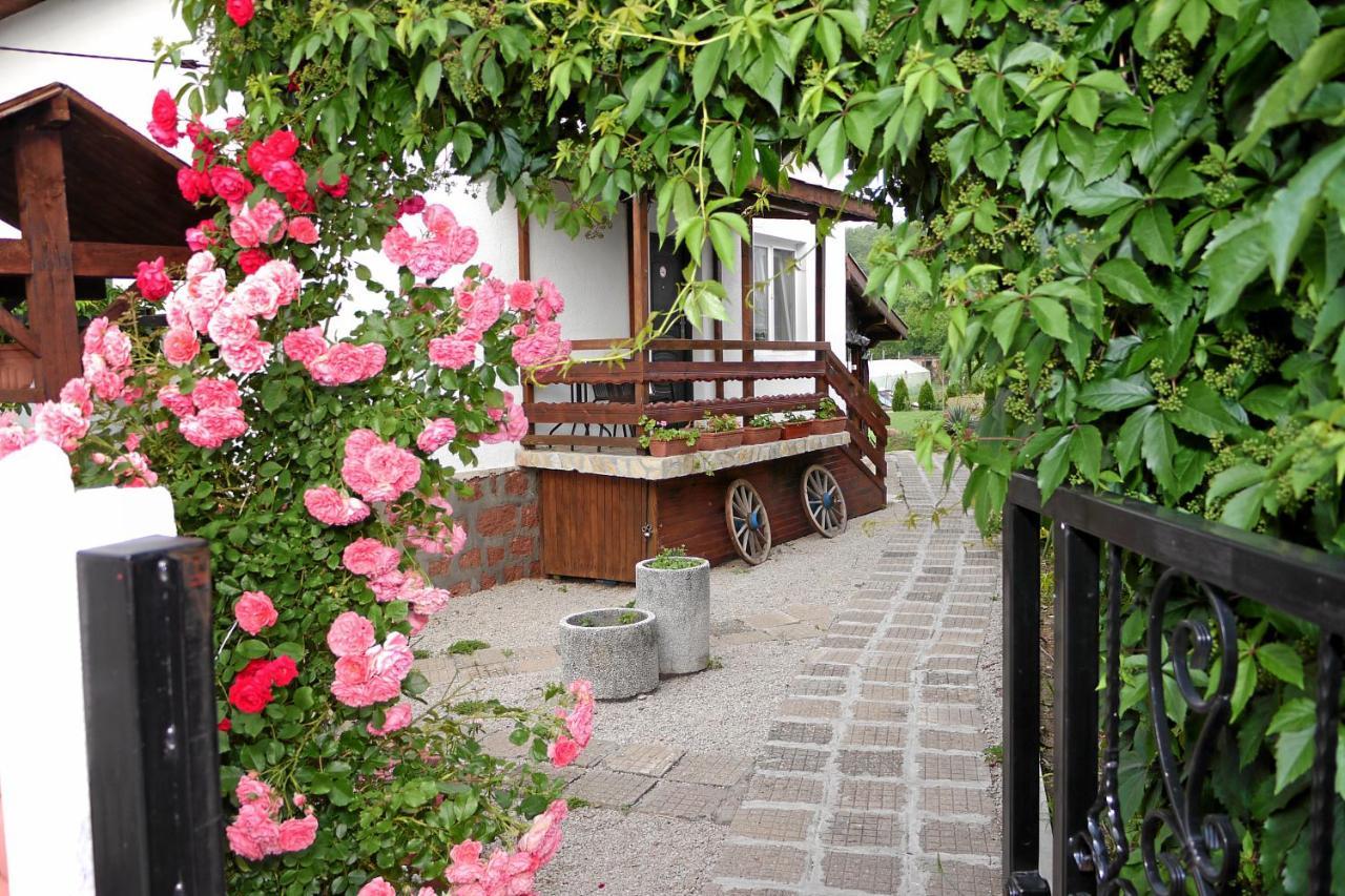 Guest House Medina เบโลกราดชิก ภายนอก รูปภาพ