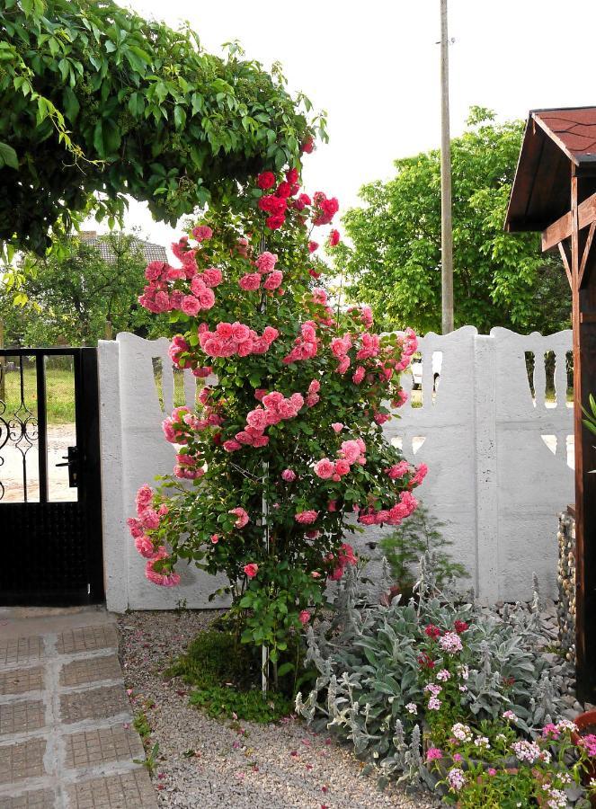 Guest House Medina เบโลกราดชิก ภายนอก รูปภาพ