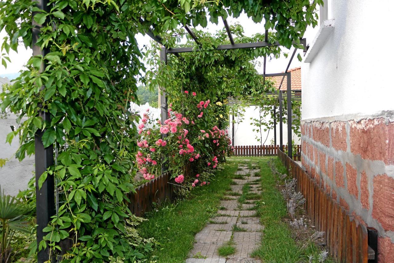Guest House Medina เบโลกราดชิก ภายนอก รูปภาพ