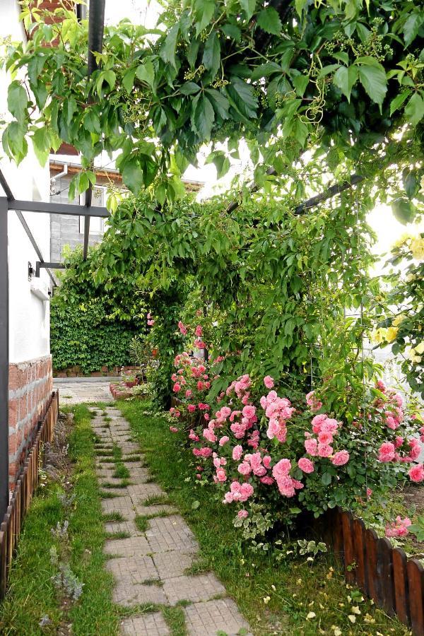 Guest House Medina เบโลกราดชิก ภายนอก รูปภาพ