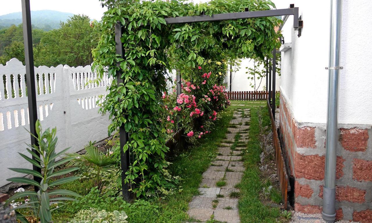 Guest House Medina เบโลกราดชิก ภายนอก รูปภาพ